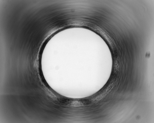 X0000103910787200810101307