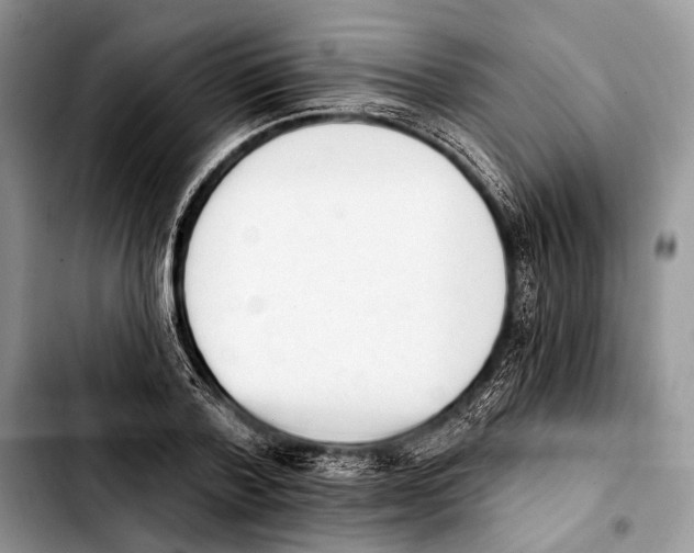 X0000103910788200810101307