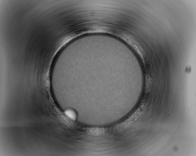 X0000103910789200810101307