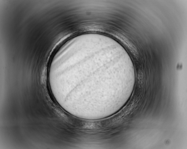 X0000103910790200810101307