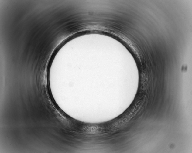 X0000103910791200810101307