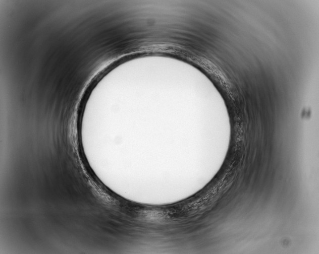 X0000103910792200810101307