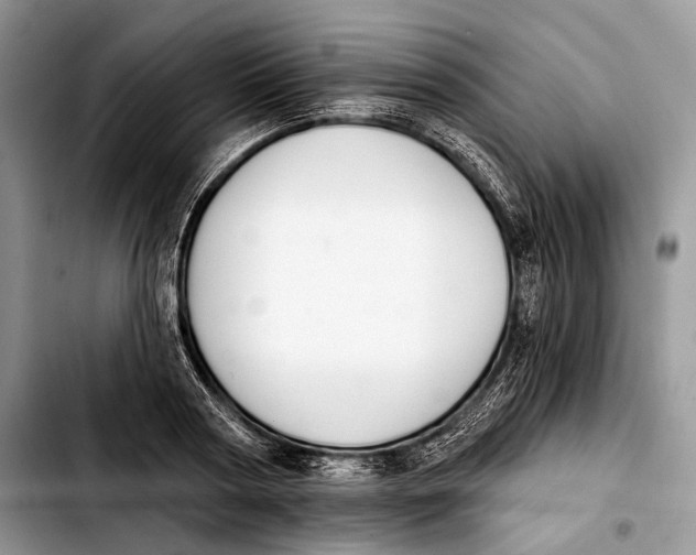 X0000103910794200810101307