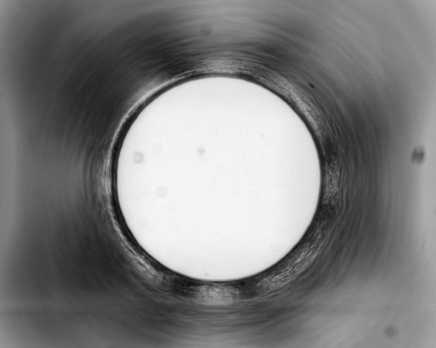 X0000103910795200810101307