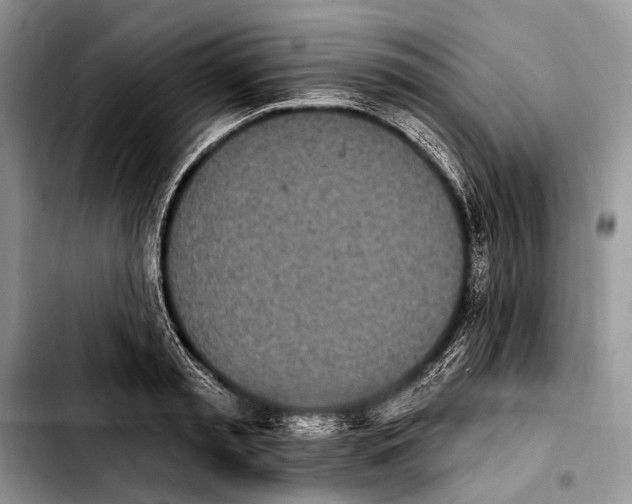 X0000103910797200810101307