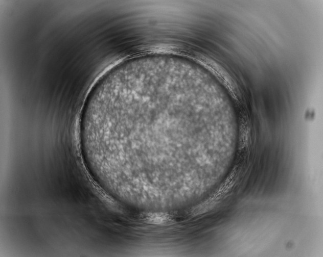 X0000103910798200810101307