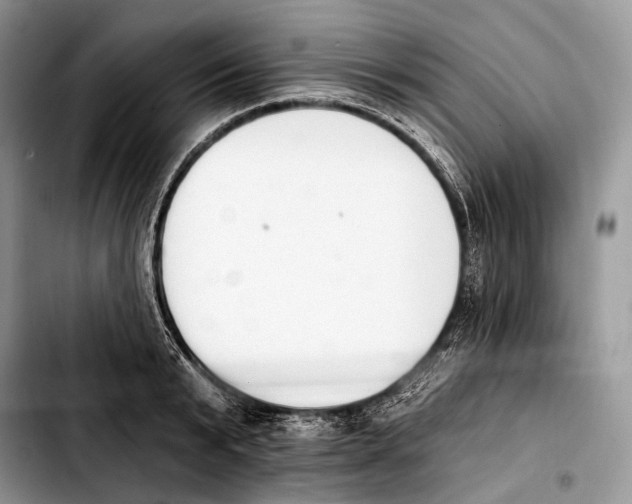 X0000103910799200810101307