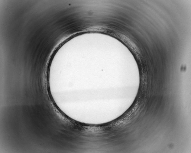 X0000103910800200810101307