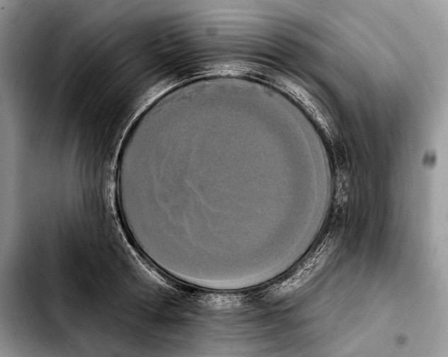X0000103910802200810101307