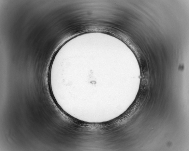 X0000103910803200810101307