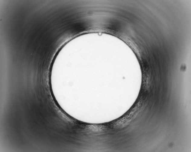 X0000103910805200810101306