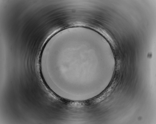X0000103910806200810101306