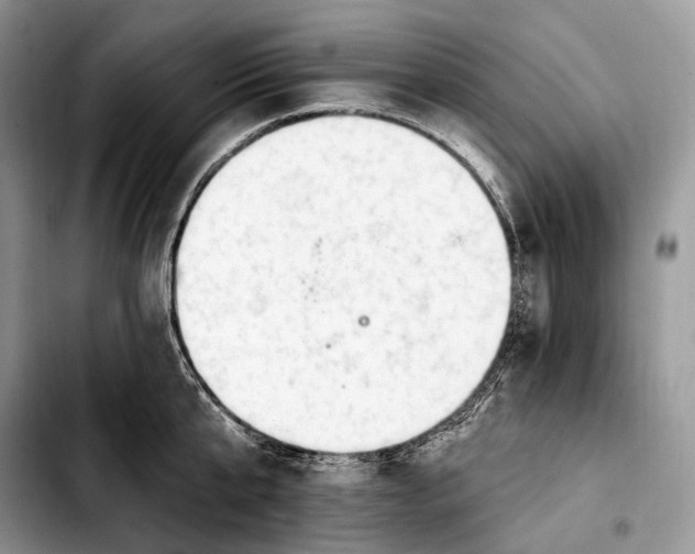 X0000103910807200810101306