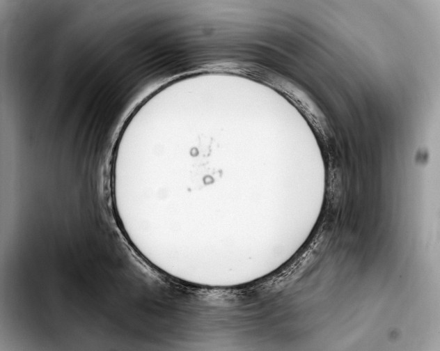 X0000103910808200810101306