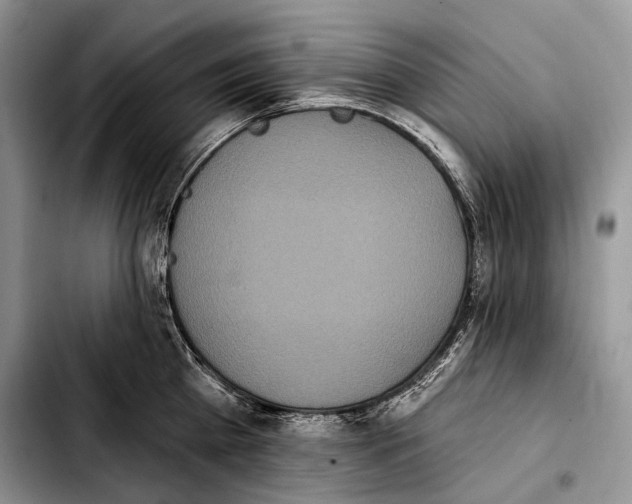 X0000103910809200810101306