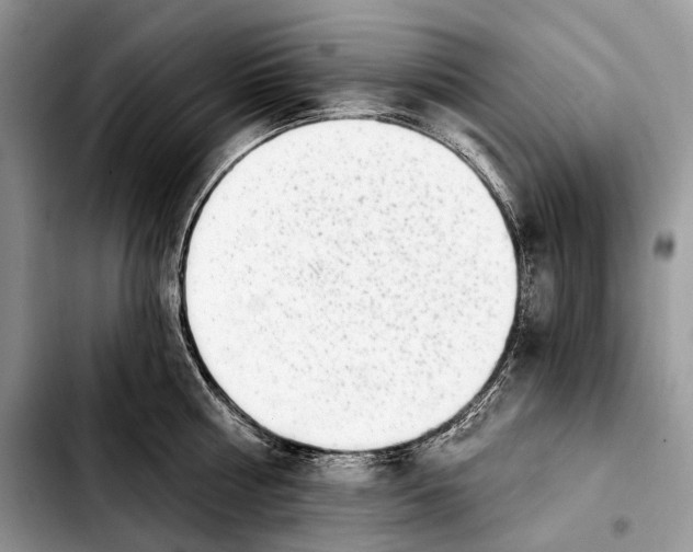X0000103910810200810101306