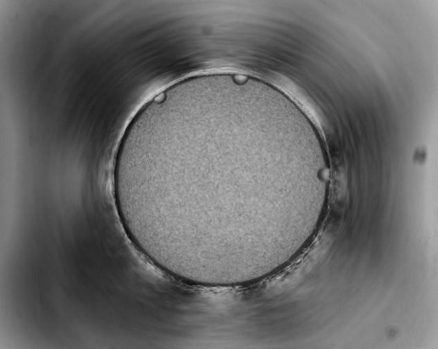 X0000103910813200810101306