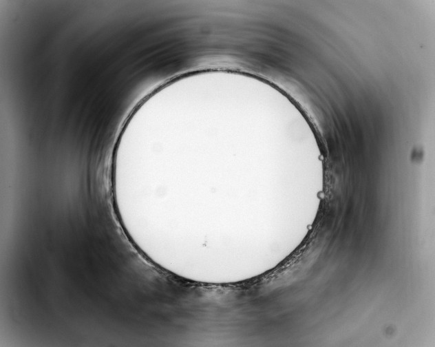 X0000103910815200810101306