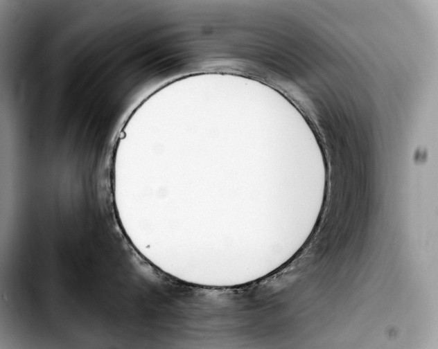 X0000103910816200810101306