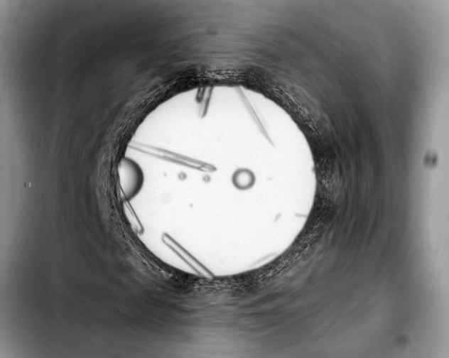 X0000103910817200810101306