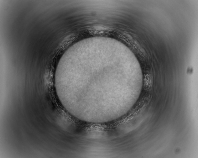 X0000103910820200810101306