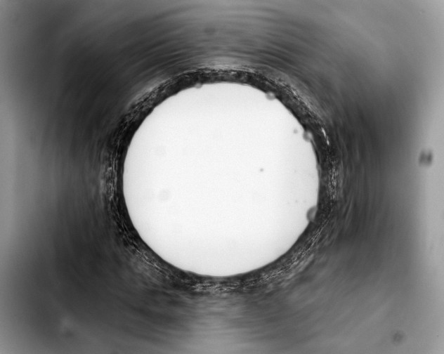 X0000103910821200810101306