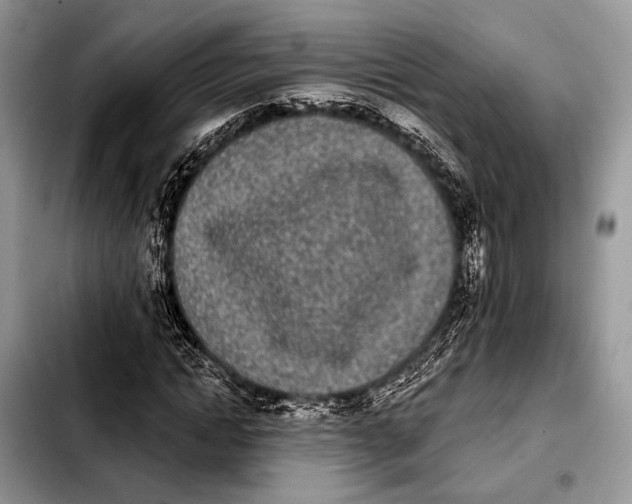 X0000103910822200810101306