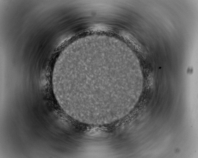 X0000103910824200810101306