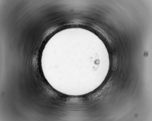 X0000103910826200810101306