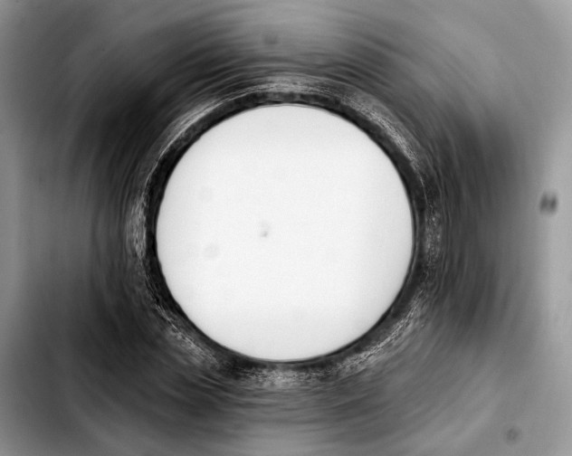 X0000103910829200810101306