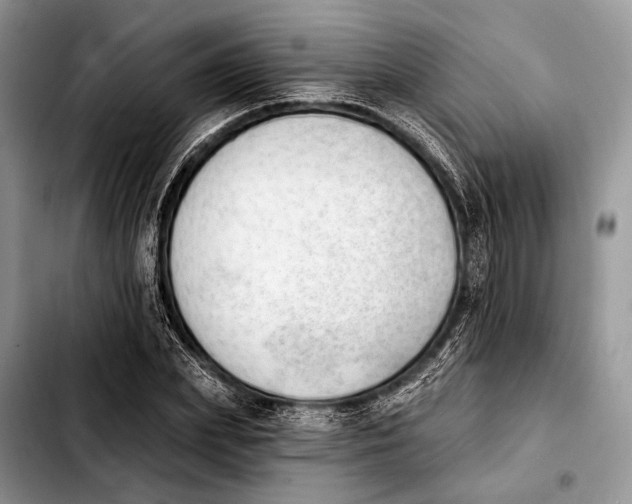 X0000103910831200810101306