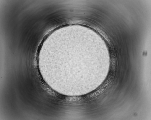 X0000103910832200810101306