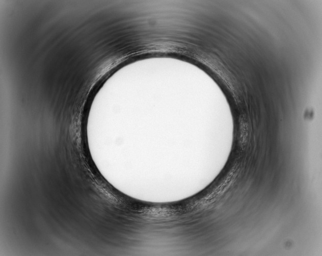 X0000103910834200810101306