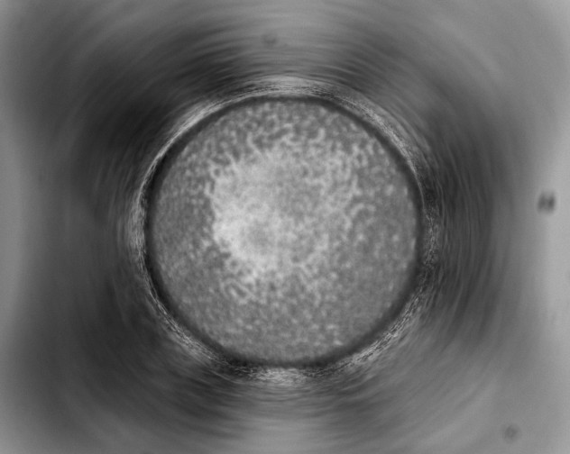 X0000103910835200810101306