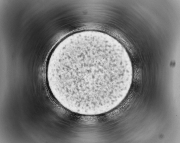 X0000103910836200810101306