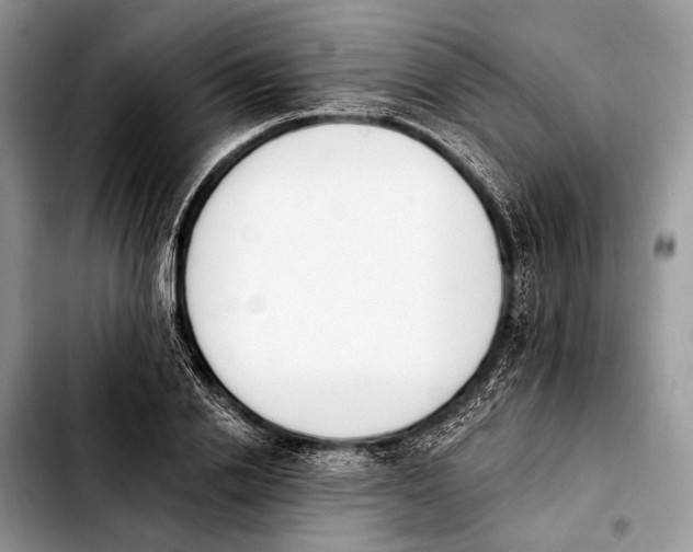 X0000103910838200810101306