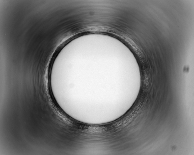 X0000103910840200810101306