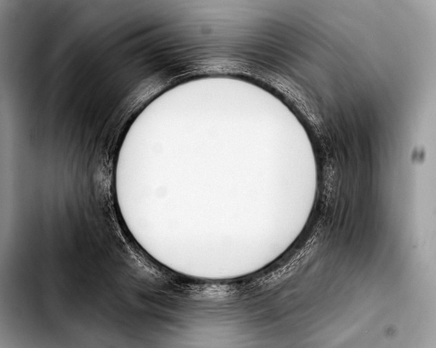 X0000103910841200810101306