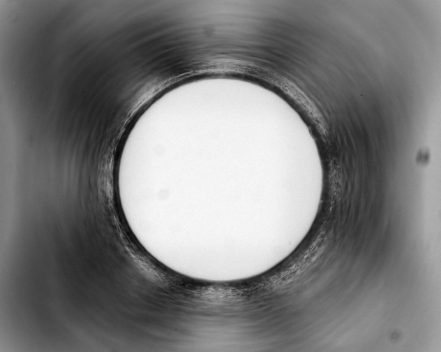 X0000103910842200810101306
