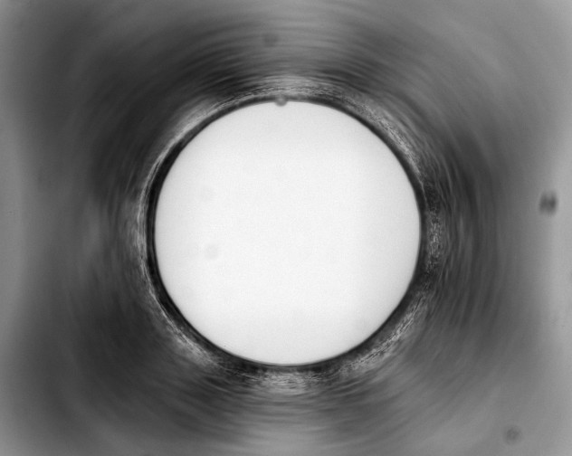X0000103910843200810101306