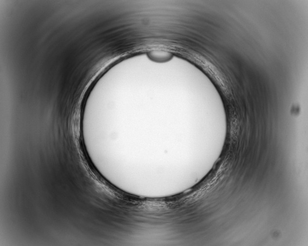 X0000103910844200810101306