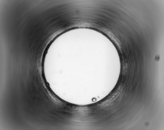 X0000103910845200810101306
