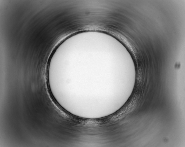 X0000103910847200810101306