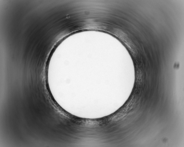 X0000103910848200810101306