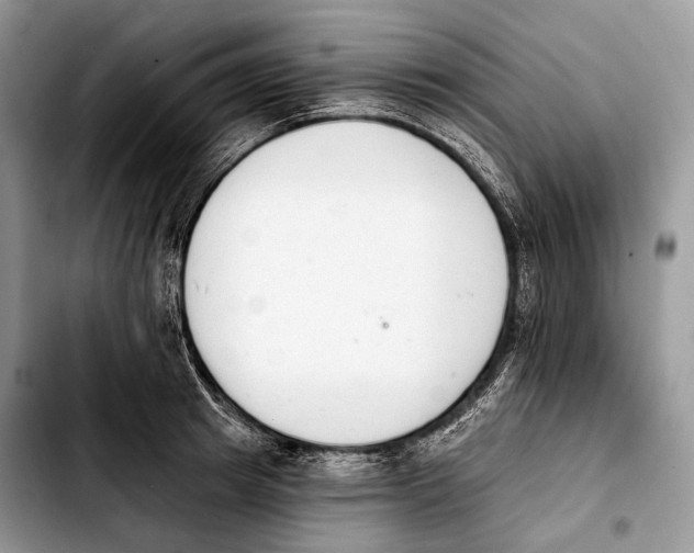 X0000103910849200810101306