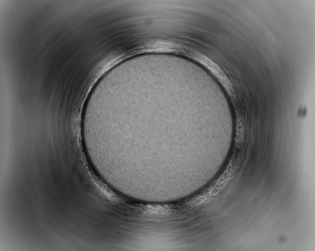 X0000103910850200810101306
