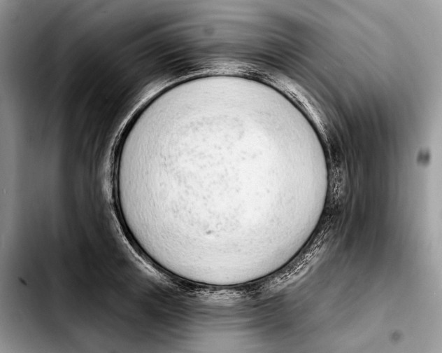 X0000103910851200810101306