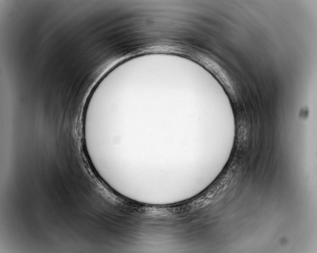 X0000103910852200810101306
