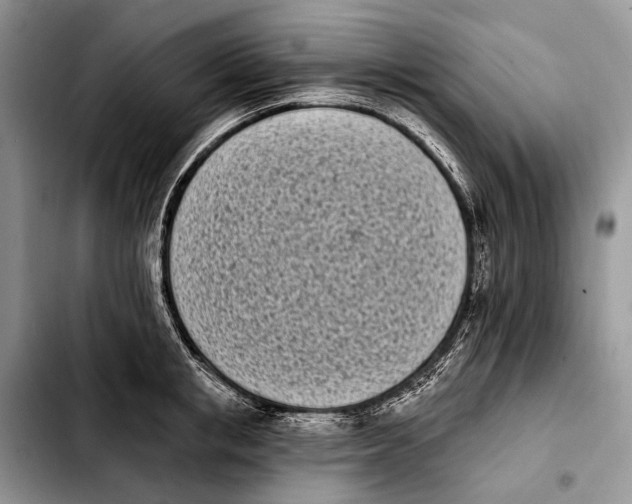 X0000103910853200810101306