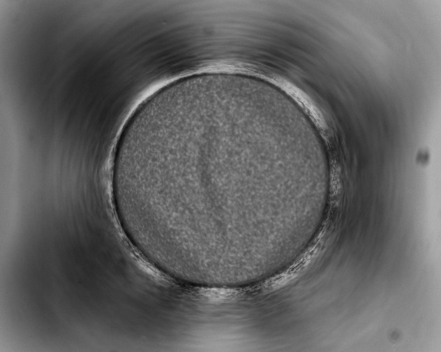 X0000103910854200810101306